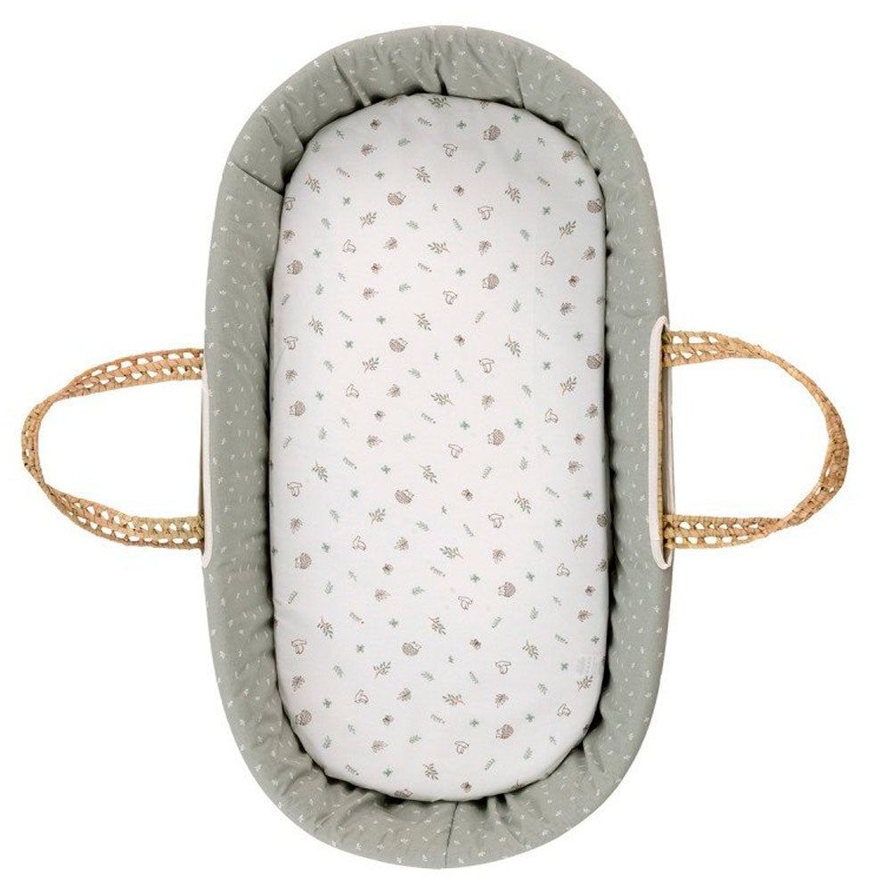 Bajera moises carro Cambrass Pack 2 unidades Calma Verde