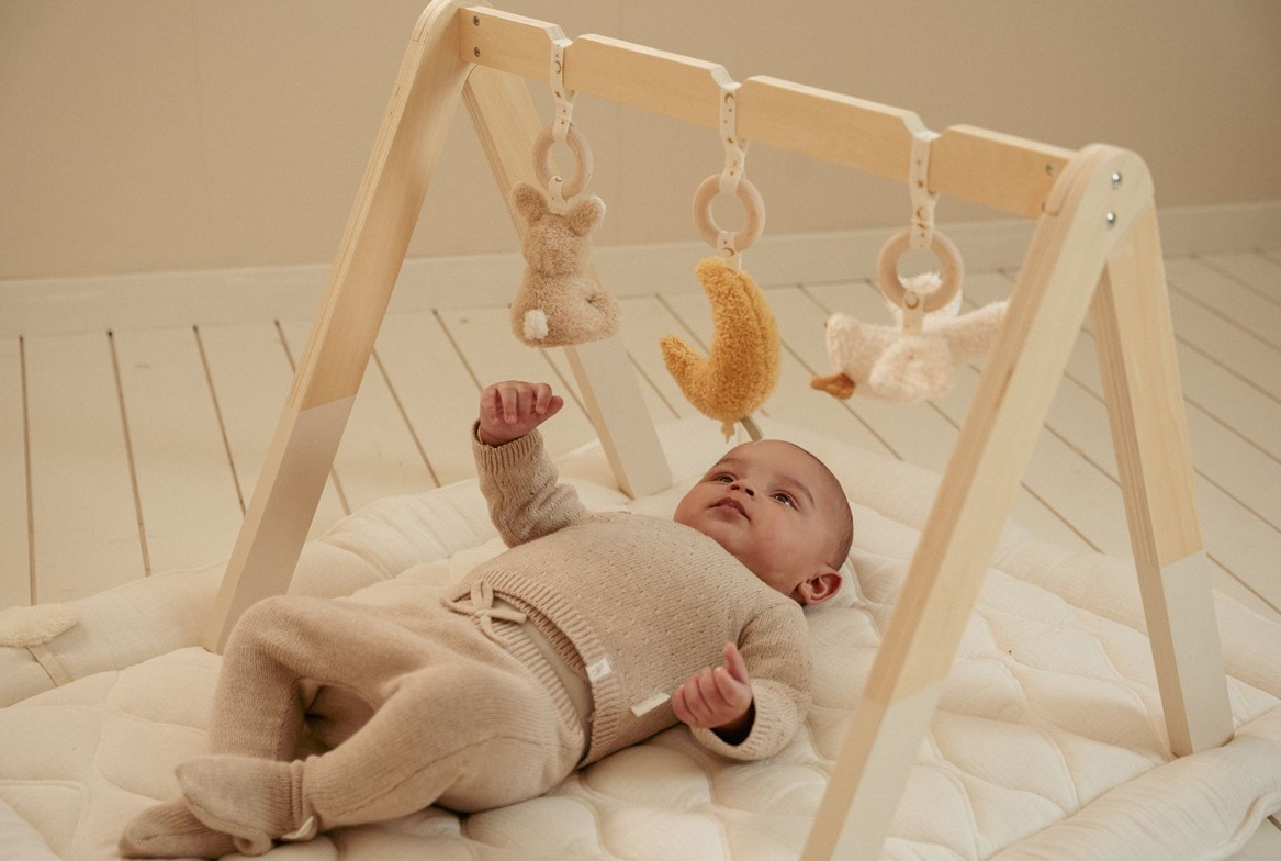Baby Gym con juguetes Little Dutch newborn naturals
