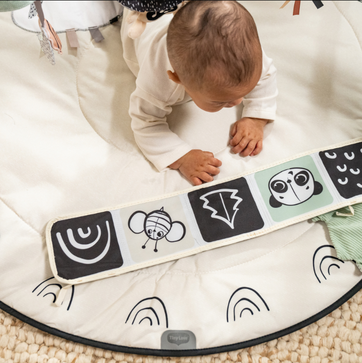 Luxe Gymini Garden tiny Love Developmental Gymini Black & White Décor