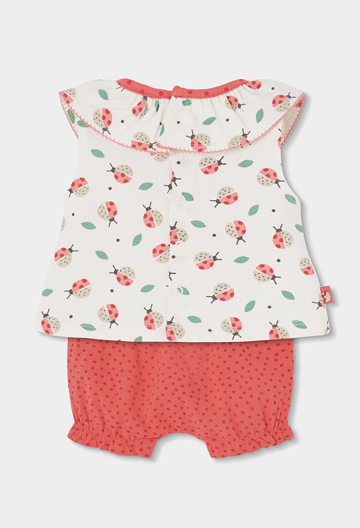 Conjunto Boboli punto