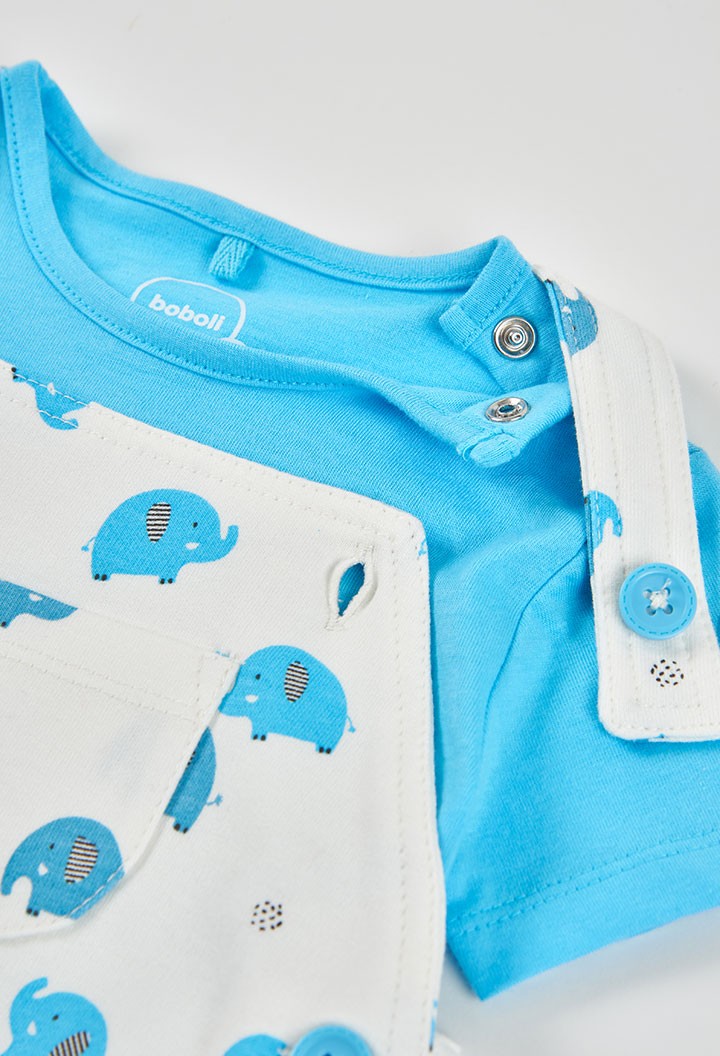 Conjunto Boboli punto