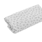 Tríptico Sábanas Moisés/Carro Cambrass Liberty