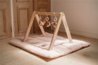 Baby Gym Little Dutch Fairy Garden