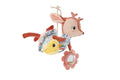 Acti-Nomada Lilliputiens Stella