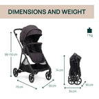 Silla Paseo Chicco Seety Ebony