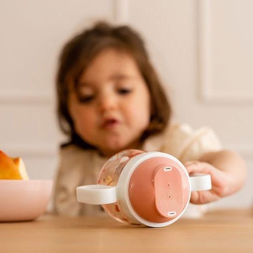 Taza Antiderrame 200ml Little Dutch