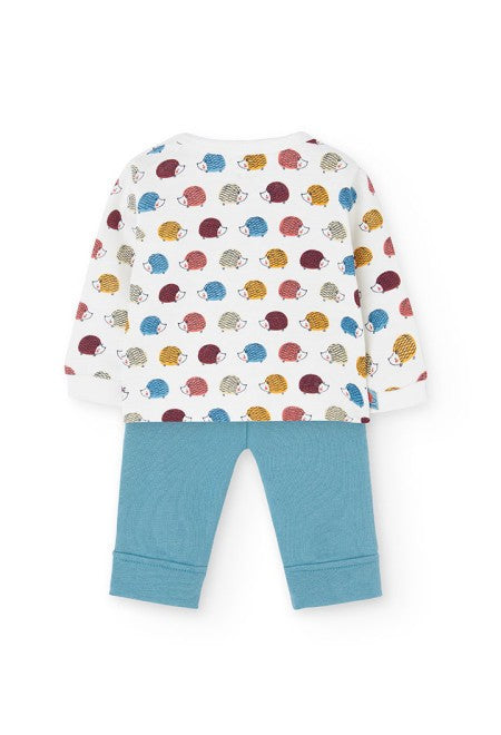 Conjunto punto Boboli con Erizos