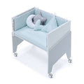 MINT-MENTA