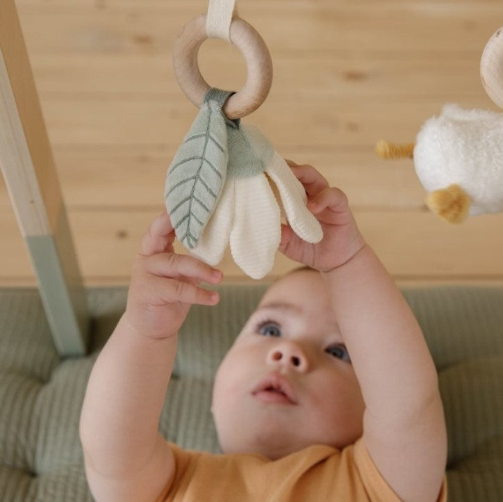 Baby Gym Con Juguetes Little Dutch Pequeña Granja