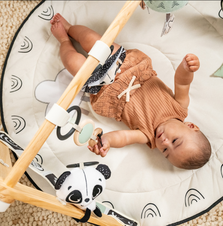 Luxe Gymini Garden tiny Love Developmental Gymini Black & White Décor