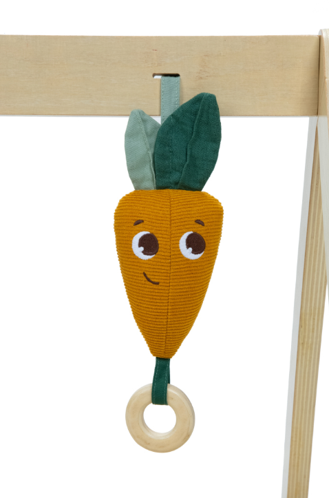 Gymini Luxe Garden of Adventures  Tiny Love