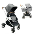 Gris Chasis Silver