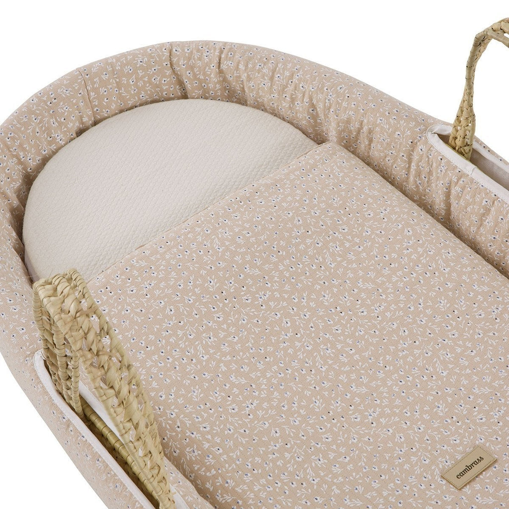 Moises de palma acolchado une Cambrass Rustic