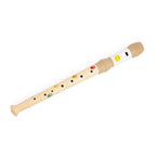 Set intrumentos musicales Janod Sunshine