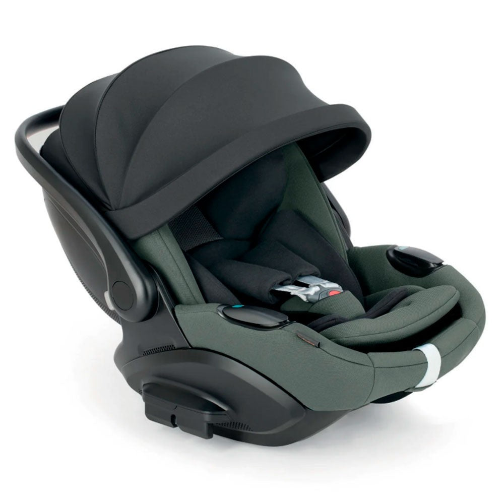Grupo 0 Inglesina Darwin Infant Recline Evo